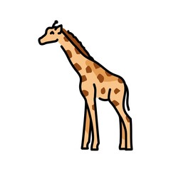 Obraz premium Giraffe color line illustration. Animals of Africa.