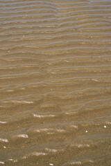 海辺の砂の模様
