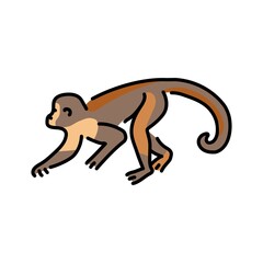 Monkey color line illustration. Animals of Africa.