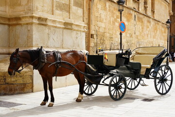 Fototapeta na wymiar horse and carriage on the street of Palma de Mallorca