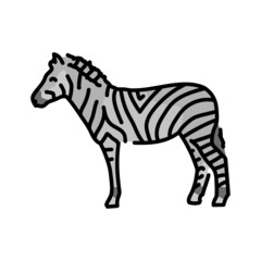 Fototapeta na wymiar Zebra color line illustration. Animals of Africa.