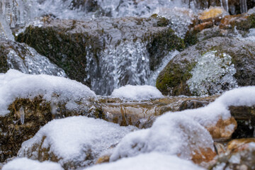 Fototapeta na wymiar stream in the forest during winter (Tyrol, Austria)