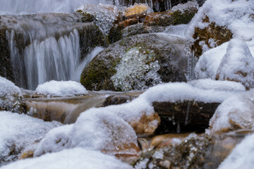 stream in the forest during winter (Tyrol, Austria)