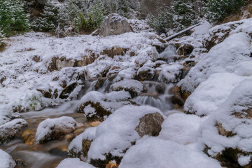 stream in the forest during winter (Tyrol, Austria)