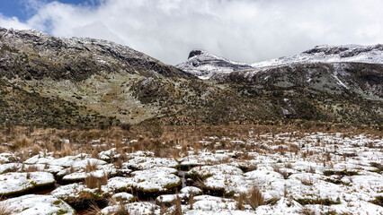 Moors, mountains, snow and lakes in the Los Nevados National Natural Park, in Manizales Caldas Colombia.