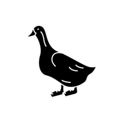 Duck bird color line icon. Pictogram for web page