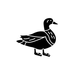 Mallard color line icon. Pictogram for web page