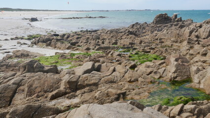 Fototapeta na wymiar Tas de gros rochers sur la belle plage de Plouédern en Bretagne, avec un mer bleu turquoise, de la végétation maritime verte et des flaques d'eau, et des algues
