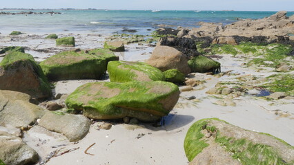 Tas de gros rochers sur la belle plage de Plouédern en Bretagne, avec un mer bleu turquoise, de la végétation maritime verte et des flaques d'eau