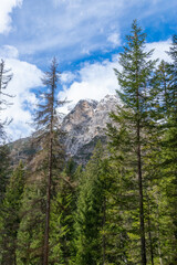 alpin scenery (Dolomites, Italy)