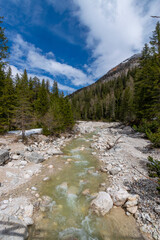 Fototapeta na wymiar river in the mountains (Dolomites, Italy)