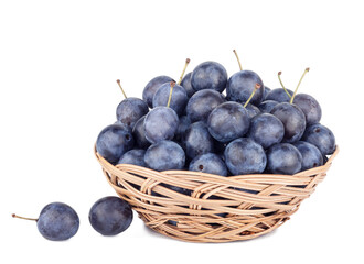 Blackthorn fruits basket isolated on a white background