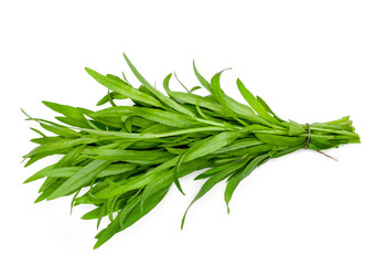 Bunch of tarragon isolated on a white background