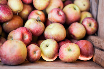 Red apples background. Fresh apples for sale