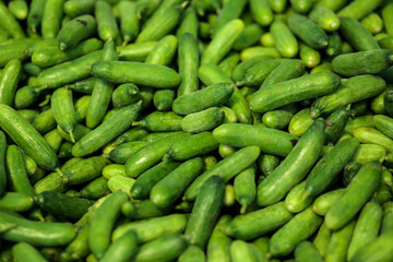 Cucumbers background on a shelf in market. Organic eating. Agriculture retailer. Farmer's food.