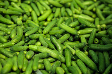 Cucumbers background on a shelf in market. Organic eating. Agriculture retailer. Farmer's food.