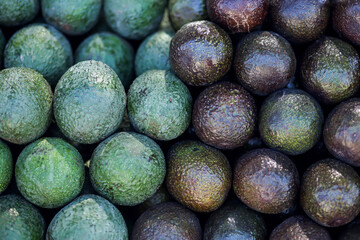Pile of avocado for sale. Fruit background