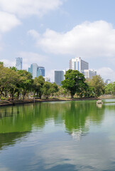 Cityscape and new office buildings view from public park Lumphini Park of Bangkok. 