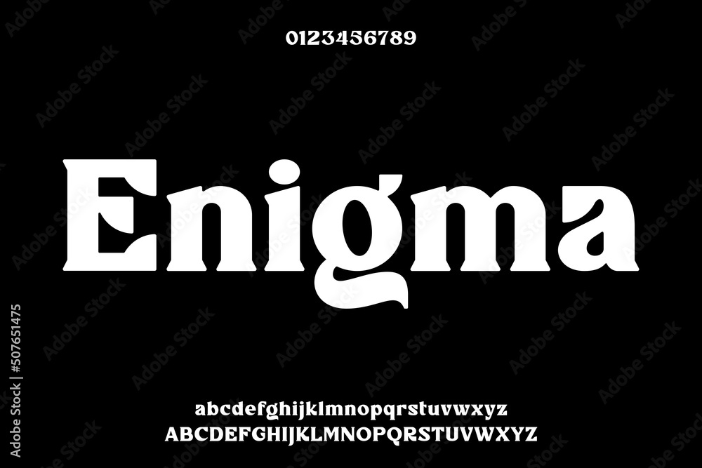 Poster unique elegant bold serif display font vector