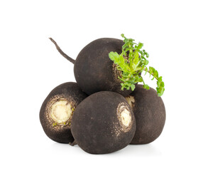 Black radish isolated on a white background