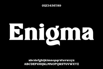 Unique elegant bold serif display font vector