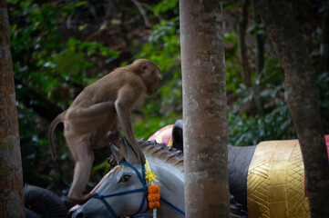 A monkey sits on an elephant statue.