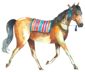 Native American Indian horse © Poltavska