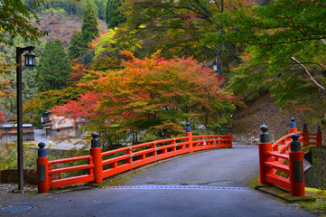 Fototapeta na wymiar 京都市清滝川に架かる高尾橋と紅葉が美しい
