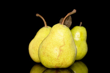 Three juicy bright yellow pears, close-up, isolated on a black background.