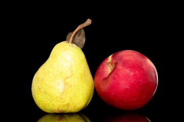 One juicy bright yellow pear and red apple, closeup isolated on black background.