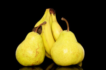 Two juicy bright yellow pears and a bunch of bananas, close-up, isolated on a black background.