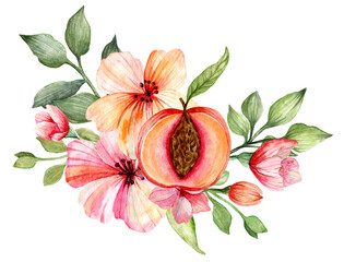 Floral watercolor composition. Hand drawn peach flower, peach with stone and green leaves and herbs
