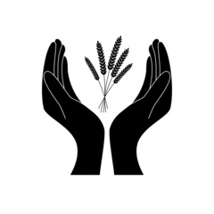 Man holding in hand wheat ear, black icon isolated on white background. Wheat spike holding farmer, peasant. Development agriculture, farming. Symbol of harvest. Vector illustration silhouette design