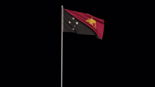 Papua New Guinea flag, 4k video background is transparent