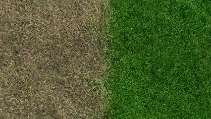 Deurstickers lawn fertilizer before and after landscaping growing sward 3D illustration © Jacques Durocher