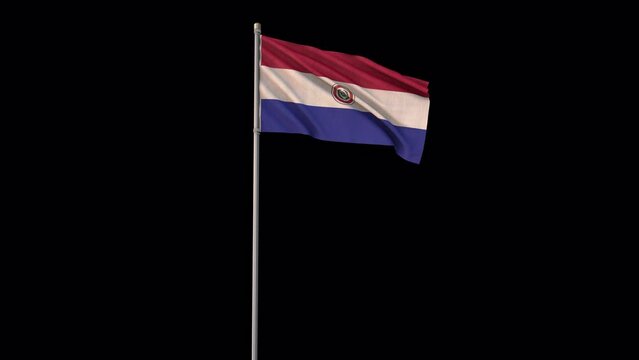 Paraguay flag, 4k video background is transparent