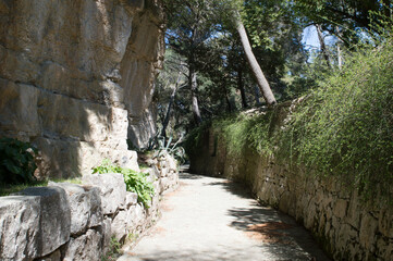 Secret pathway by the limestone cliff in the national park Brijuni islands, Croatia