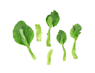 Chinese kale or Kailan or Hong Kong kale isolated on white background. Top view