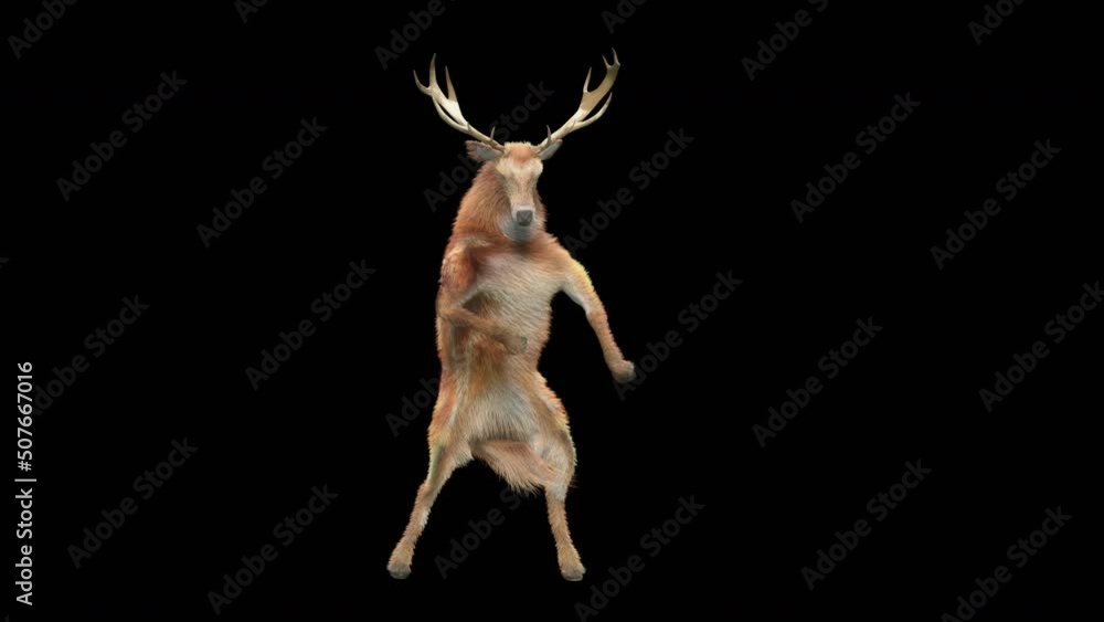 Fototapete deer dancing cg fur 3d rendering animal realistic cgi vfx animation loop composition 3d mapping cart