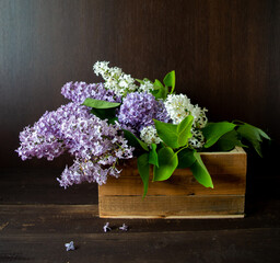 white and purple lilac in blue pattern box with dark brown wooden wall