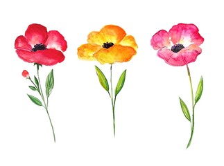 bouquet of red, pink and yellow flowers drawn in watercolor, isolated on white background 