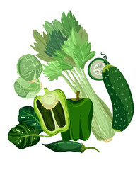 Vector illustration. Healthy green food. Celery, bell pepper, spinach, cucumber, Brussels sprouts, hot peppers. Handmade, postcard, stickers