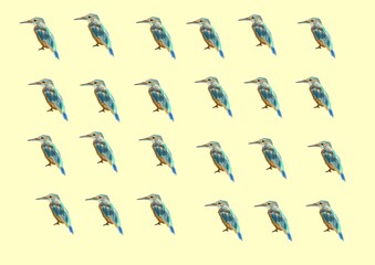 Bird texture 