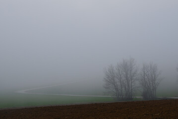 Countryside in misty morning, Pesaro, Marche Region, Italy