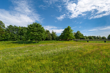 Winsen Luhe, Germany. Meadows at the river Luhe.