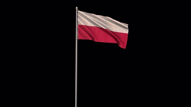 Poland flag, 4k video background is transparent