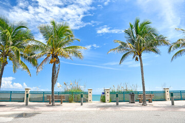 Beautiful, calm beach day with palm trees in Vero Beach, Florida