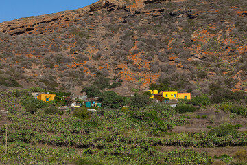 View of typical colorful houses of Linosa in the countryside