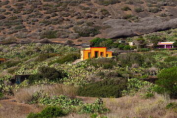 View of typical colorful houses of Linosa in the countryside