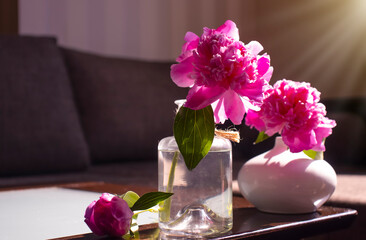 Peony flower in a vase in the room